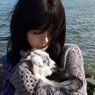 猪猪侠大电影·星际行动